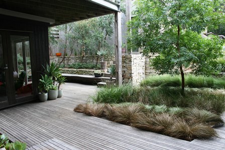 Winning "Plants In The Landscape" -Landscape Industries Victoria 2014 